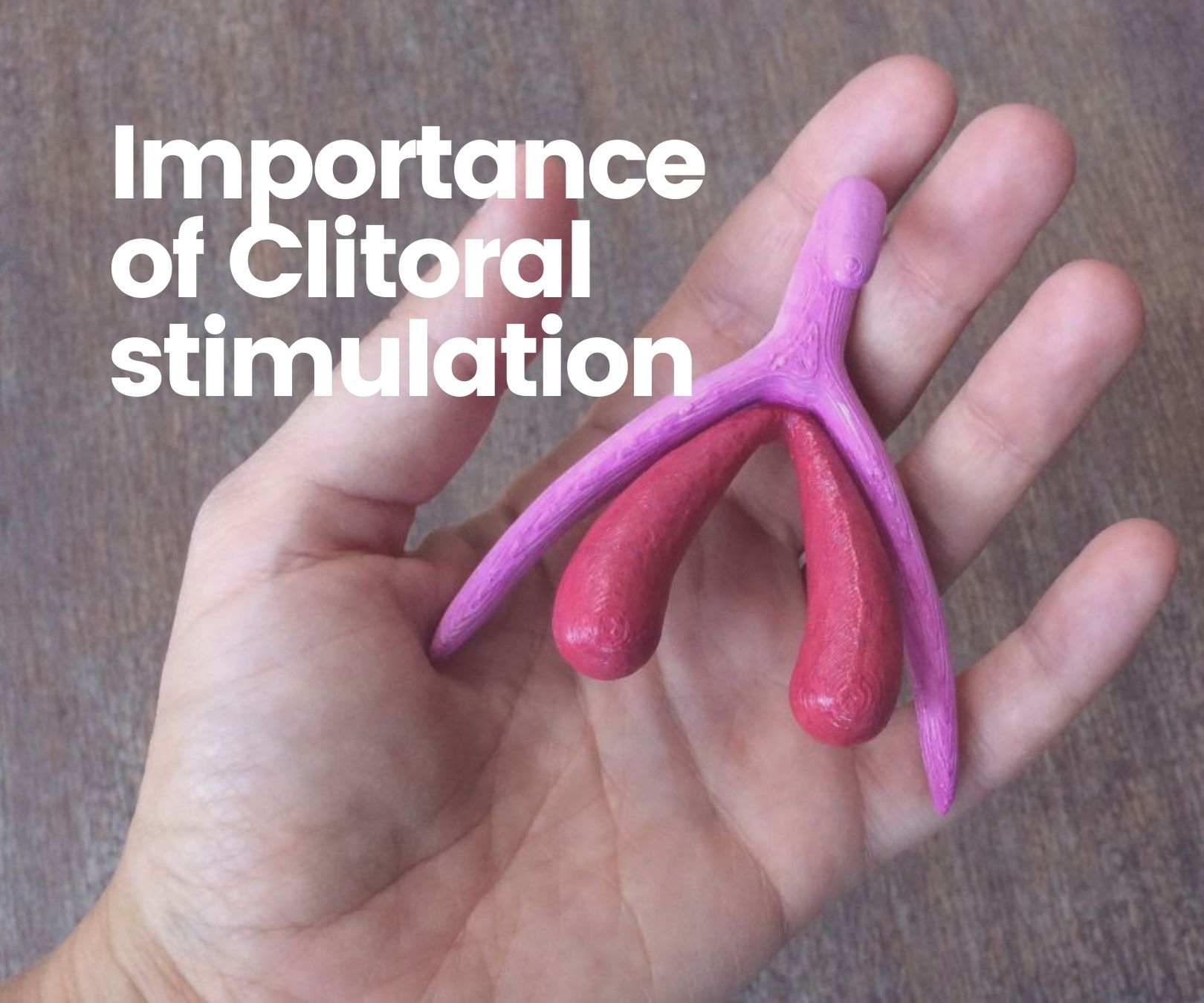 Clitoris Stimulation & Sexual Pleasure